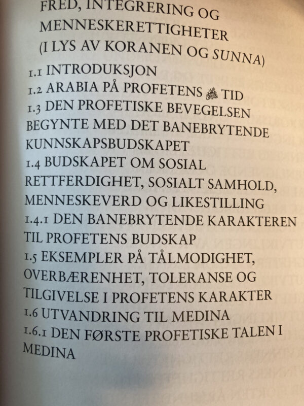 Fred, integrering og menneskerettigheter - Bilde 2