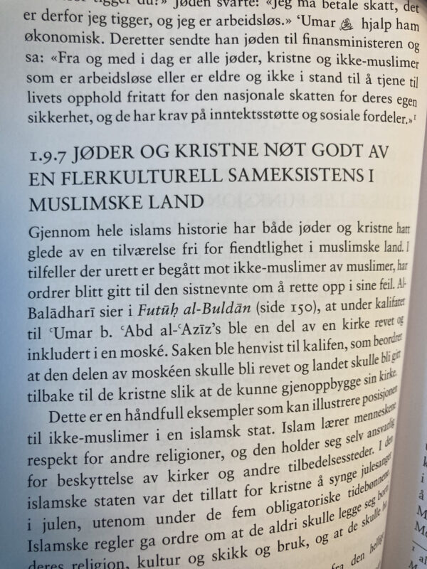 Fred, integrering og menneskerettigheter - Bilde 3