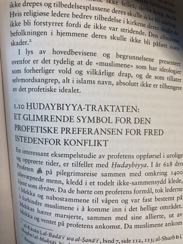 Fred, integrering og menneskerettigheter - Bilde 4