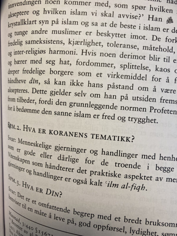 Fred og underkastelse - Bilde 4