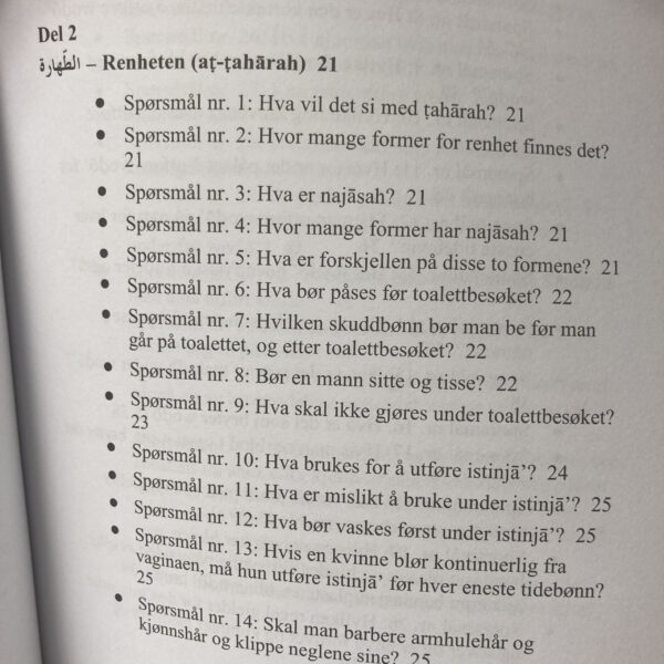 Håndbok i renhet - Bilde 2