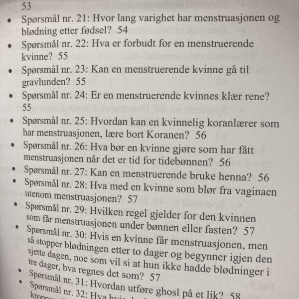 Håndbok i renhet - Bilde 3