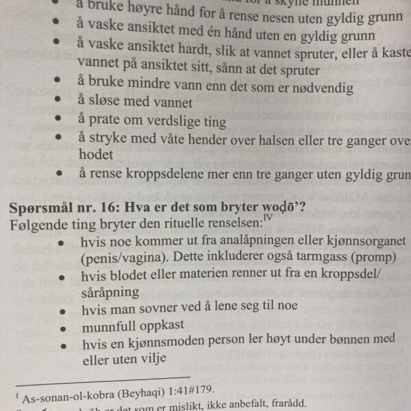 Håndbok i renhet - Bilde 4