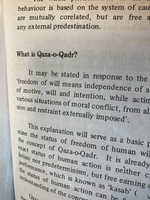 Islam and freedom of human will - Bilde 4