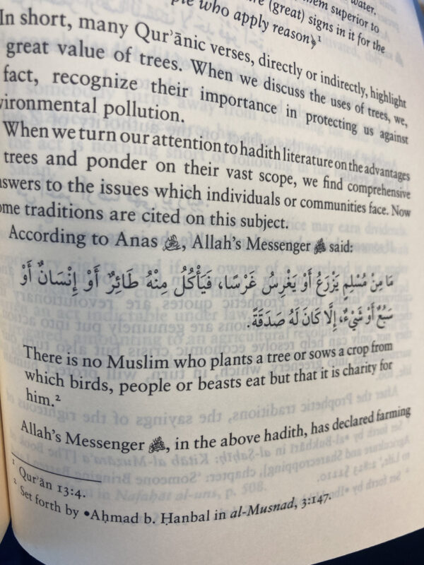 Islam on environmental protection - Bilde 3