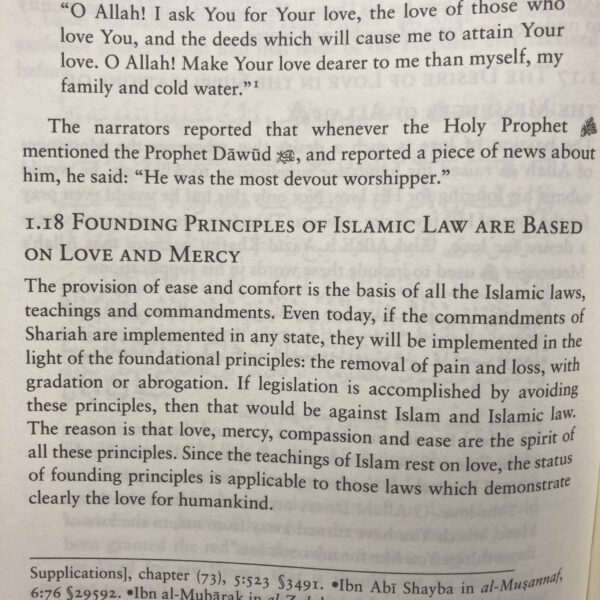 Islam on love and non-violence - Bilde 3