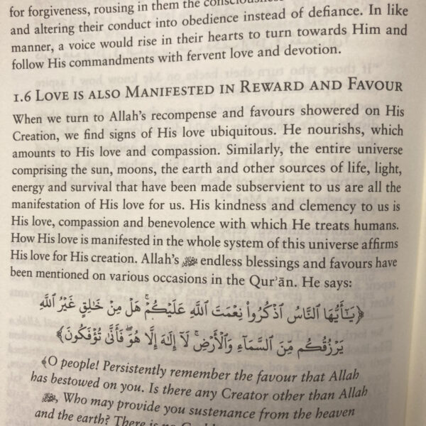 Islam on love and non-violence - Bilde 4