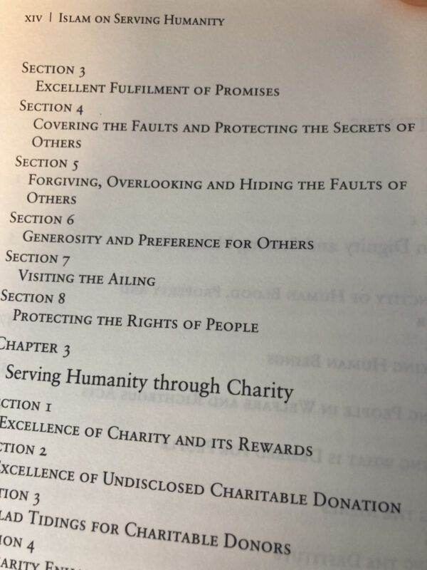 Islam on serving humanity - Bilde 2