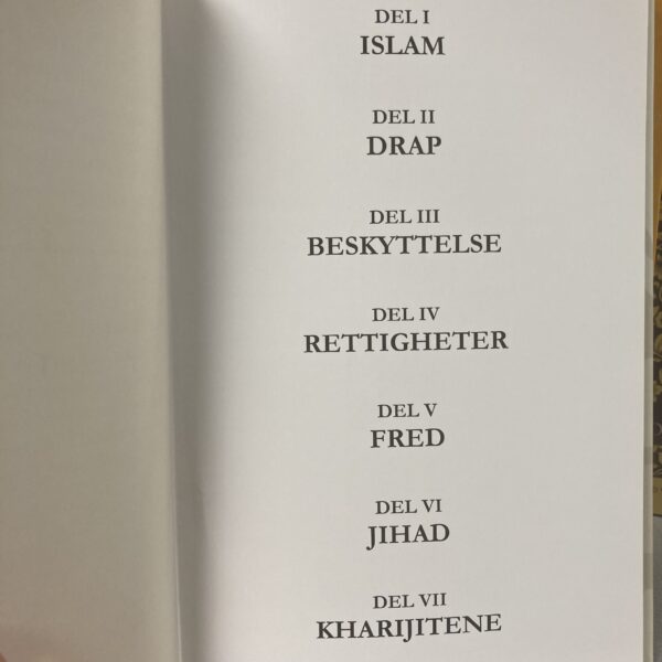 Kunsten å være muslim - Bilde 2