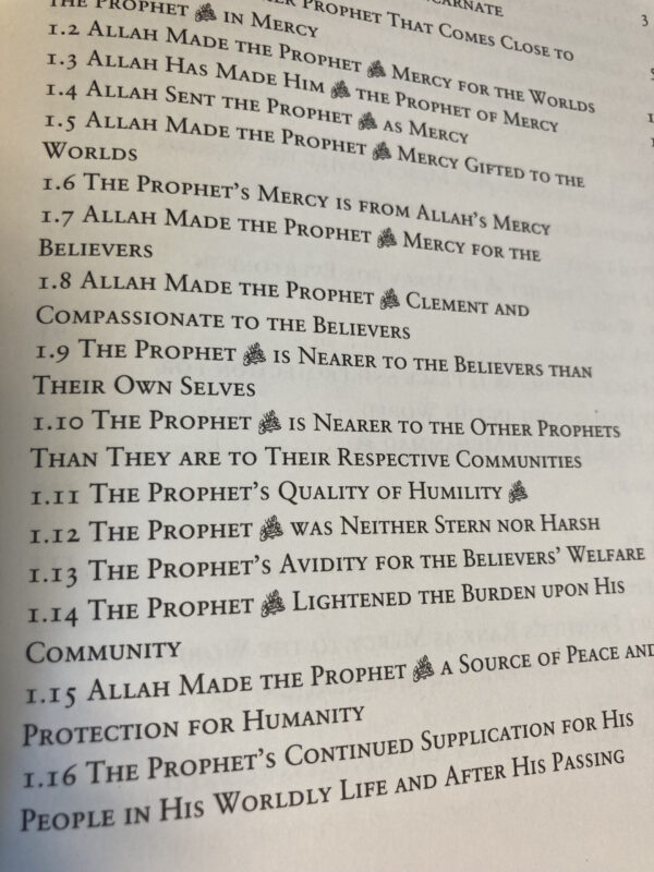 Muhammad the merciful - Bilde 2