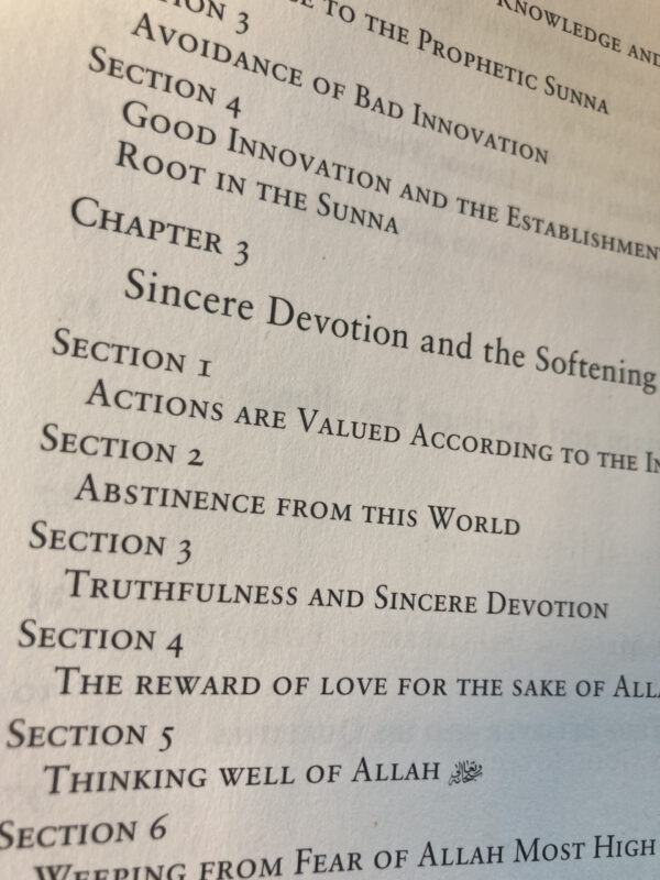 Righteous character & Social interactions - Bilde 3